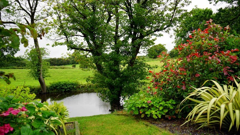 Sunny garden