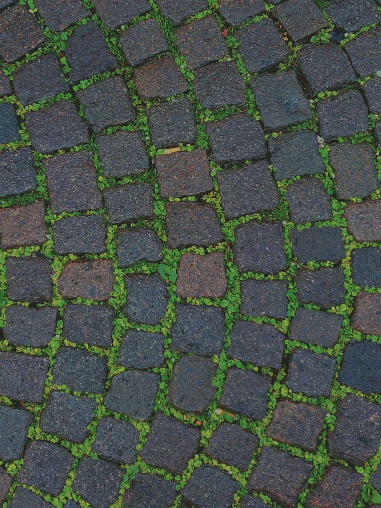 How to Lay Rocks for Landscaping Step-by-Step Guide