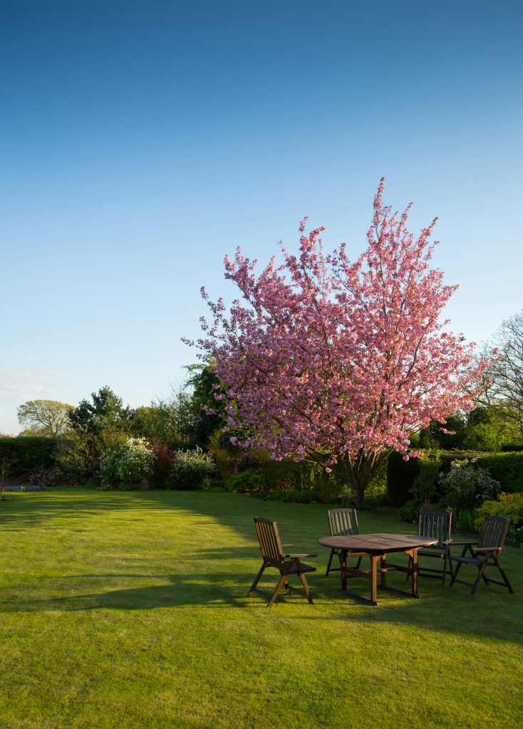 Family-Friendly Garden Ideas How to Create a Safe and Fun Outdoor Space