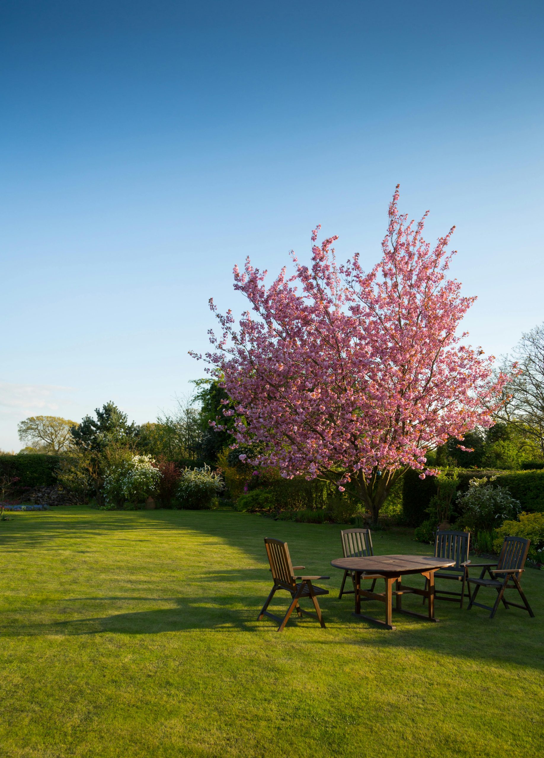 Family-Friendly Garden Ideas How to Create a Safe and Fun Outdoor Space